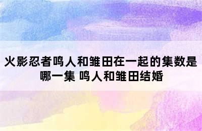 火影忍者鸣人和雏田在一起的集数是哪一集 鸣人和雏田结婚